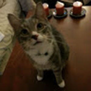 Meet your Posher, Will